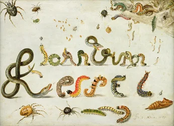 Garden and Other Spiders, Caterpillars Spell the Artist